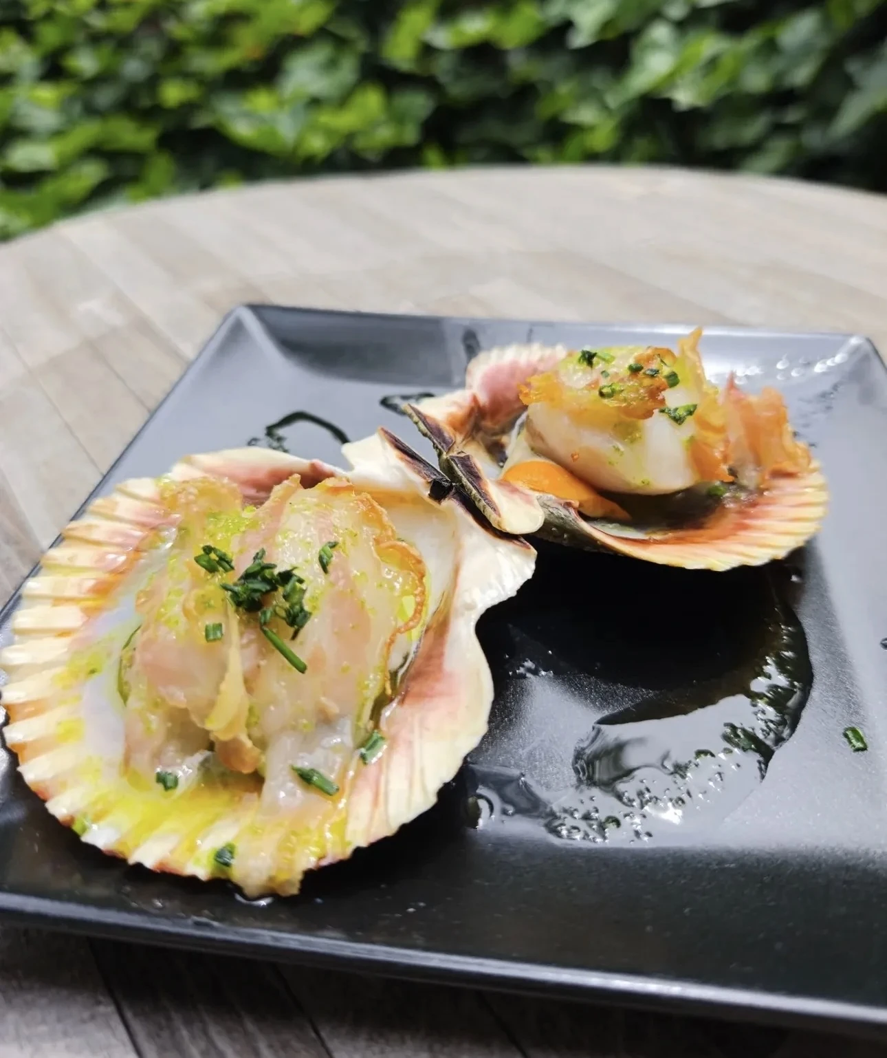 Vieiras con velo de panceta ibérica
